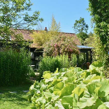 Chambres D'Hotes, Gites La Petite Madeleine La Madelaine-sous-Montreuil المظهر الخارجي الصورة